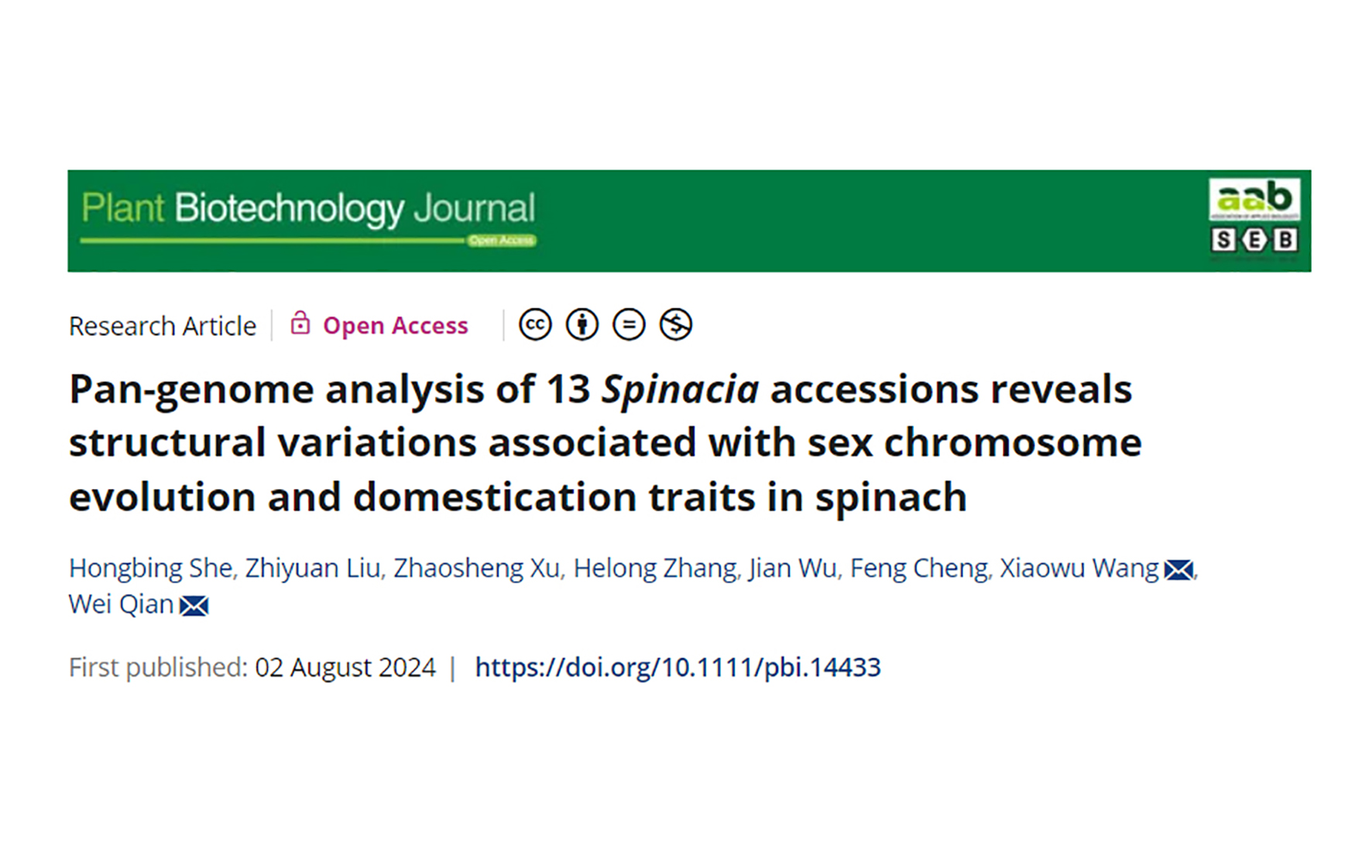 Pan-genome analysis of 13 Spinacia accessions reveals structural variations associated with sex chromosome evolution and domestication traits in spinach