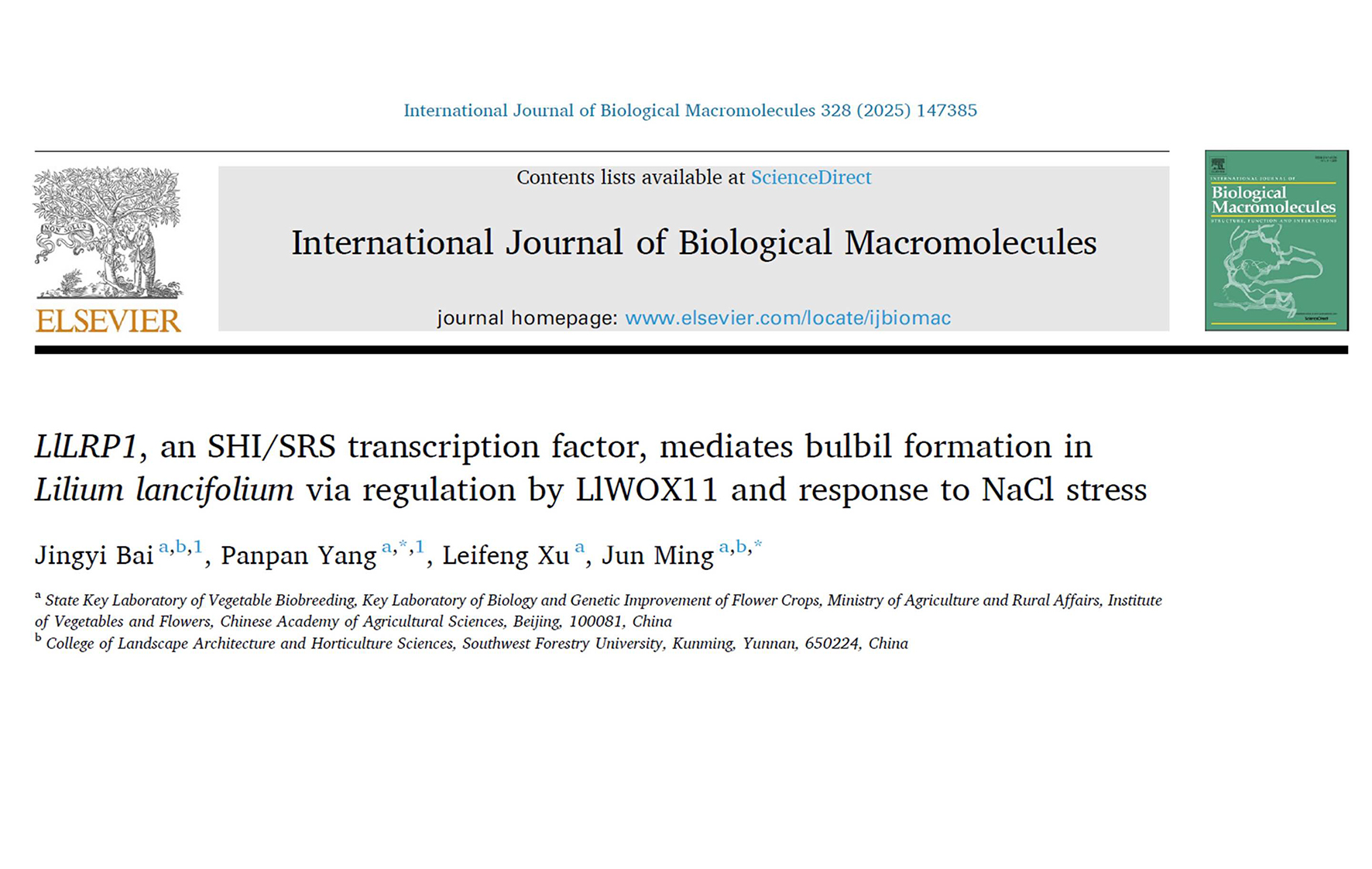 IJBM | Lily Breeding Team of the Institute of Vegetables and Flowers has made new progress in the study of regulation mechanism of bulbil formation