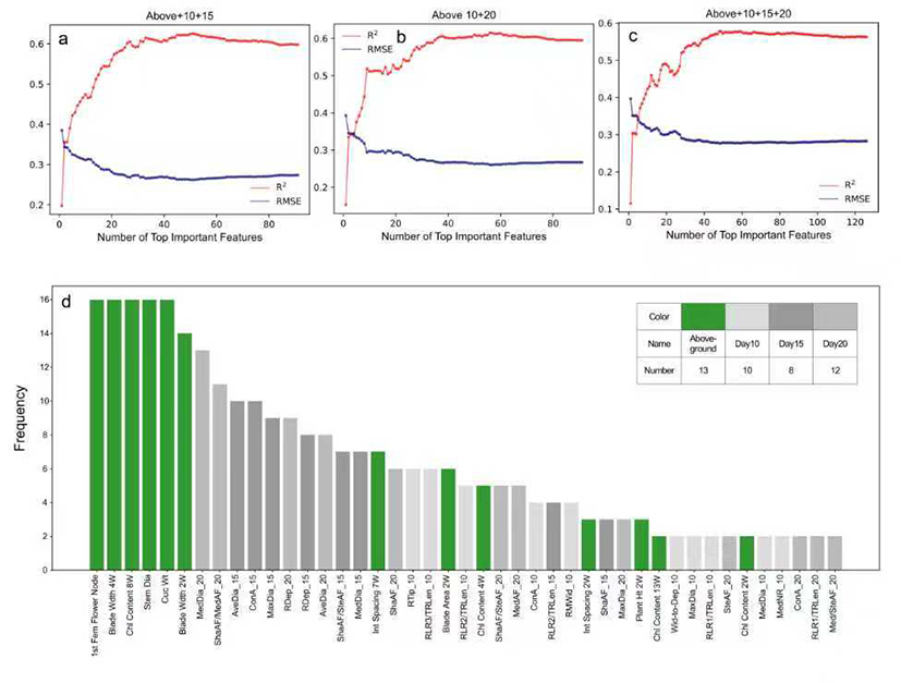 图2 机器学习模型结合分析与重要特征频率统计.jpg