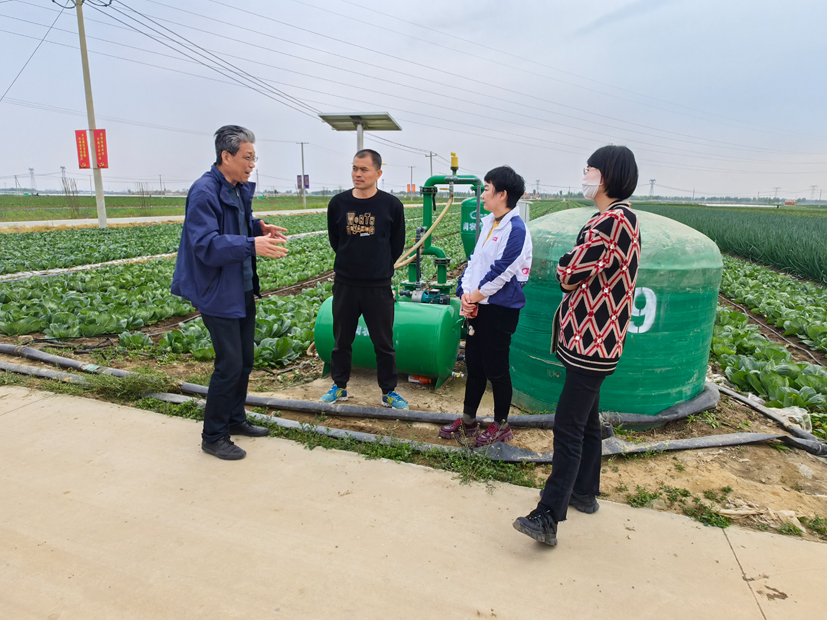 蔬菜产业专家团到玉田县指导露地甘蓝水肥一体化生产关键技术应用.jpg